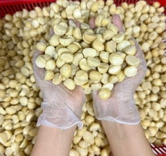 Hạt Macca Úc đã tách vỏ - hạt bể ( hũ 250gr )