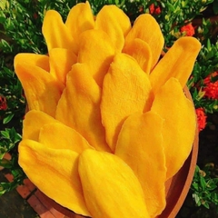 Xoài sấy dẻo ( hũ 500gr )