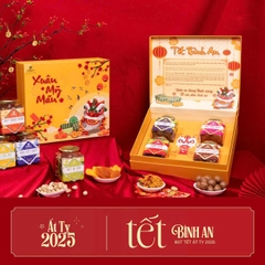 SET QUÀ 23 ( Gồm hộp quà, mix nuts, hạt dẻ cười, mơ sấy dẻo, nam việt quất)