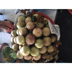 Vú Sữa - 1KG