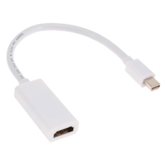 Mini Display Port Adapter Loại 2