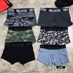 boxer Hollister