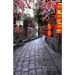 Phông nền 3D chụp trong studio mã số PM-1206