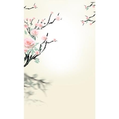 Phông nền 3D chụp trong studio mã số RS-8415