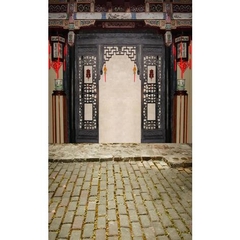Phông nền 3D chụp trong studio mã số RS-9971
