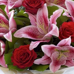 Bày tỏ