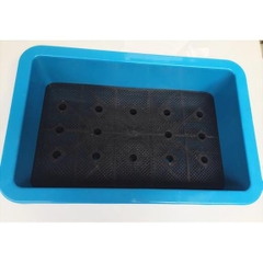 Chậu mầm nhỏ (XANH BIỂN)