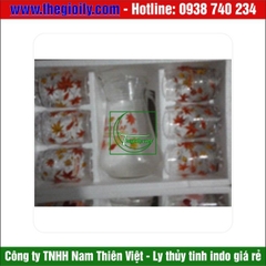 Bộ bình ly thủy tinh eo 02