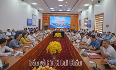 Tin tức - Blog