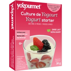 Men Làm Sữa Chua thuần chay Vegan (Non-Dairy Yogurt Starter) Yógourment Hộp 30g (6 gói)