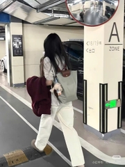 Ba lô Le Pliage
