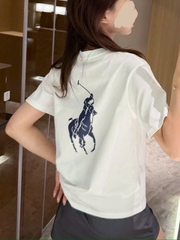 Tshirt POLO cổ tròn logo lưng 3 màu