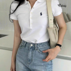 Áo Polo cổ bẻ cotton 7 màu bản tuồn auth