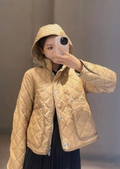 Áo khoác trần bông BBR