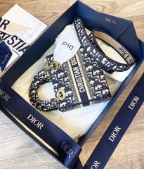 Túi Dior Laby D-Lite