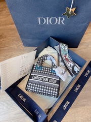 Túi Dior Laby D-Lite