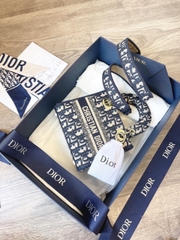 Túi Dior Laby D-Lite
