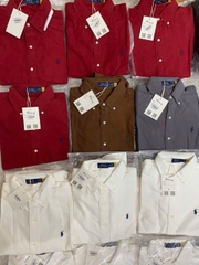 Sơ mi Polo cổ đức 100% cotton 4 màu