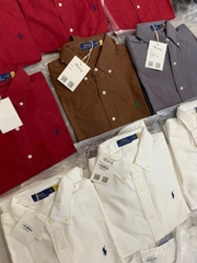 Sơ mi Polo cổ đức 100% cotton 4 màu