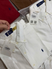 Sơ mi Polo cổ đức 100% cotton 4 màu
