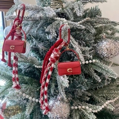 Charm COACH đỏ dư xịn fullbox