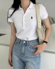 Áo Polo cổ bẻ cotton 7 màu bản tuồn auth
