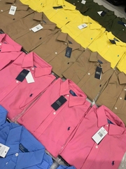 Sơ mi Polo cổ đức 6 màu chất cotton tuồn auth