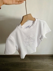 Croptop LOEWE cổ tròn 7 màu