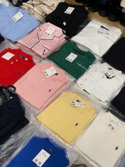 Áo polo Cashmere ôm vừa