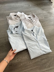 Sơ mi kẻ Massimo Dutti cổ đức 2 màu