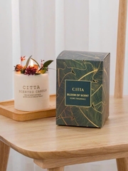 Nến CITTA trắng xuất Châu Âu