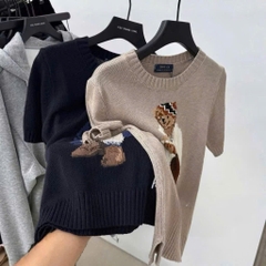 Áo len Polo BEAR nâu gấu mặc áo choàng trắng