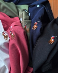 Áo nam Polo RL cổ bẻ logo thêu màu