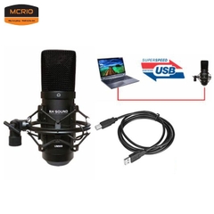 Microphone Alctron UM900