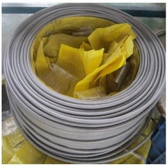 Ống mềm Teflon - Teflon plexible hose