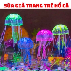 SỨA TRANG TRÍ