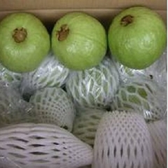 Xốp bọc ổi