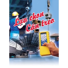 Lựa chọn cân treo, cân móc cẩu