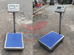 Cân điện tử 30kg Zemic