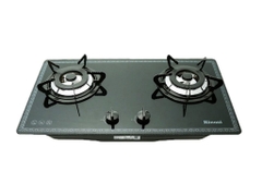 Bếp gas Rinnai RVB-2BG(F)N