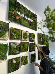 RÊU BẢO TỒN LÀ GÌ? VÌ SAO NGÀY CÀNG ĐƯỢC ƯA CHUỘNG?