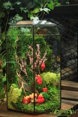 Trang Trí Nhà Đón Tết Với Rêu Xanh Quanh Năm Không Cần Tưới