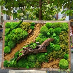 Top 5 Món Quà Tặng Xanh Độc Đáo Cho Người Yêu Thiên Nhiên