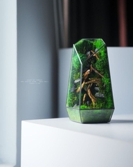 TERRARIUM - Cách Chăm Sóc Và Bảo Quản Terrarium