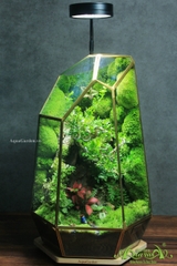 NHỮNG VẤN ĐỀ CƠ BẢN KHI BẠN CHỌN MUA MỘT CHIẾC TERRARIUM HỆ KÍN