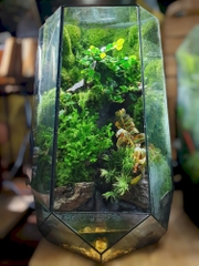 DIY – HƯỚNG DẪN CHI TIẾT TỰ LÀM TERRARIUM ĐƠN GIẢN TẠI NHÀ