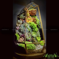 Terrarium 90 - Neverland