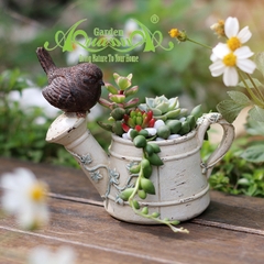 Chim Đậu Bình Tưới - Gốm AquaGarden