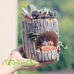 Khúc Gỗ Tổng Hợp - Gốm AquaGarden