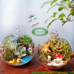 Terrarium 74 - Chiều Xuân
